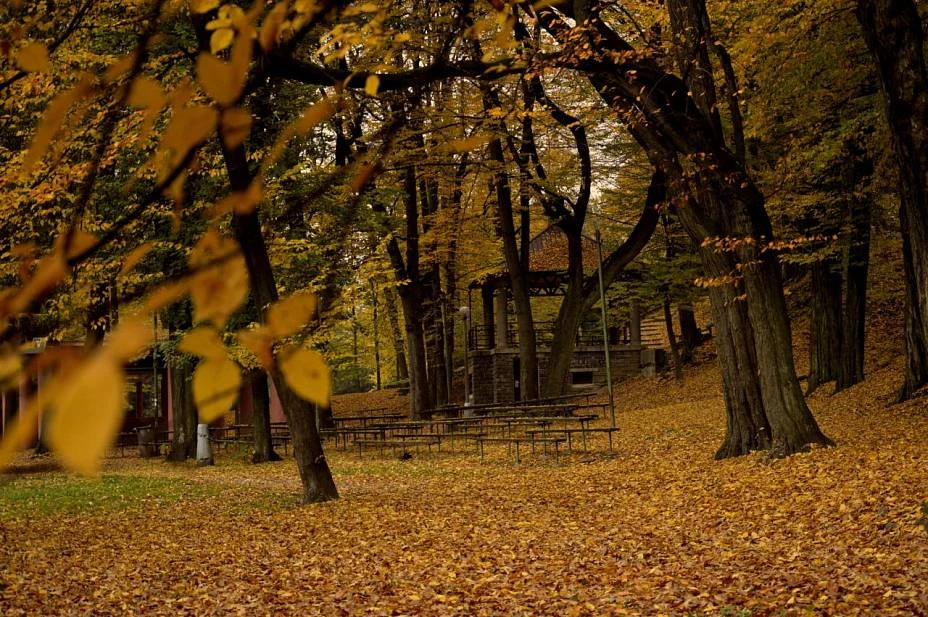 Městský park Petra Bezruče